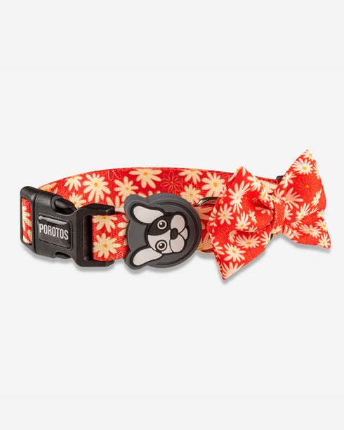 Collar con Moño Margarita
